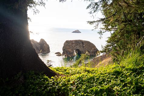 10+ Best Things to Do at Samuel H. Boardman Scenic Corridor.